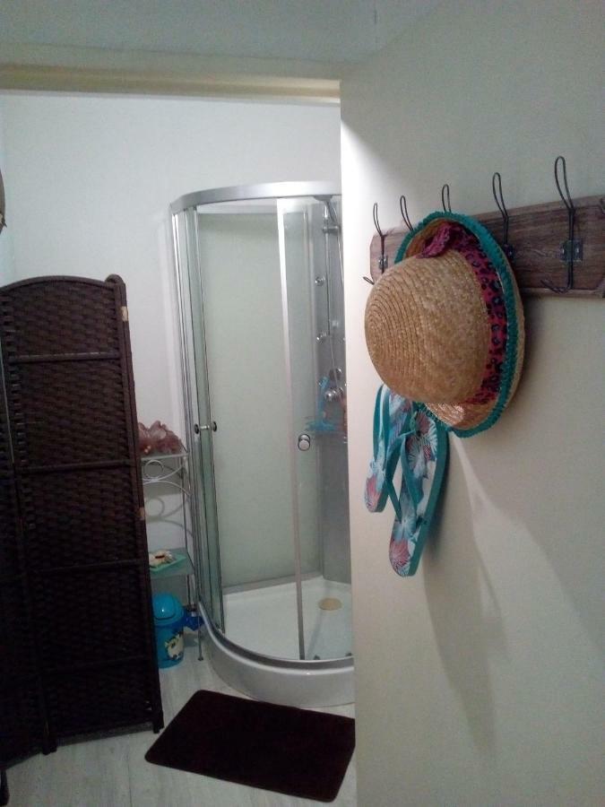 Charmant Appartement Carcassonne Zewnętrze zdjęcie